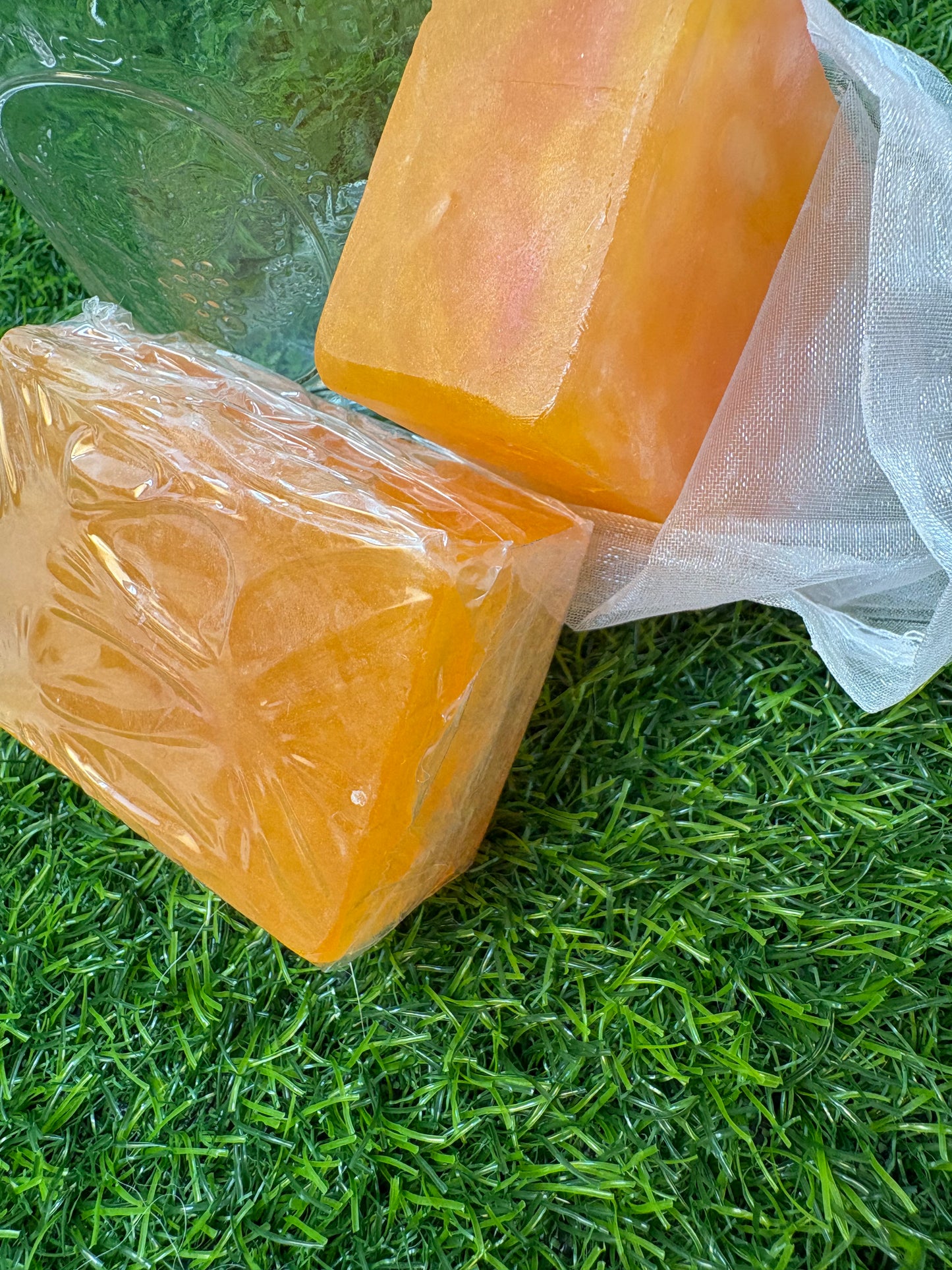 Pure Aloe Citrus - Cleansing Bar (4oz) -Limited Edition